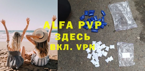 сатива Алзамай