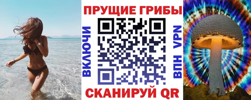 Галлюциногенные грибы Psilocybe  ссылка на мегу ТОР  Нефтеюганск  цены наркотик 